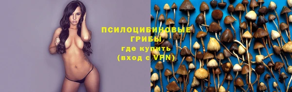 дурь Гусиноозёрск