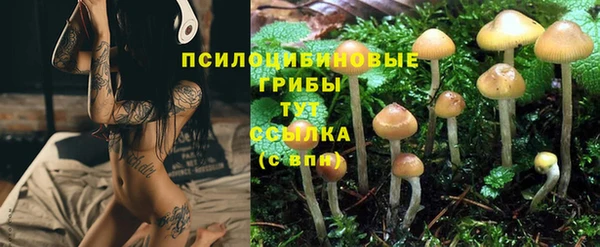 наркотики Горняк