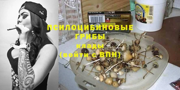 метадон Гусев